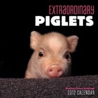 Abbildung von: Extraordinary Piglets 2012 Mini Calen - Abrams
