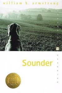 Enlarge image Cover: Sounder - Perfection Learning