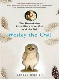 Enlarge image Cover: Wesley the Owl - Tantor Media, Inc
