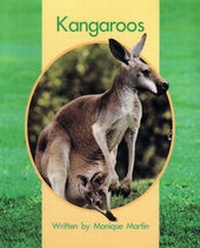 Enlarge image Cover: Springboard Lvl 7d: Kangaroos - Macmillan Education Australia
