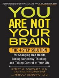 Enlarge image Cover: You Are Not Your Brain - Tantor Media, Inc