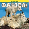 Cover: Glacier Babies! - Farcountry Press