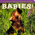 Cover: Yellowstone and Grand Teton Babies! - Farcountry Press