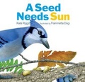 Cover: A Seed Needs Sun - Creative Company,US