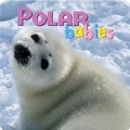 Cover: Polar Babies - Creative Publishing International