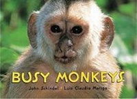 Enlarge image Cover: Busy Monkeys - Tricycle Press