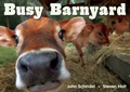 Cover: Busy Barnyard - Tricycle Press