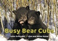 Cover: Busy Bear Cubs - Tricycle Press