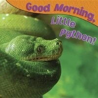 Enlarge image Cover: Good Morning, Little Python! - Rourke Publishing