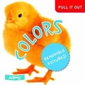 Cover: Colors - AZ Books, LLC