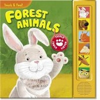 Enlarge image Cover: Forest Animals - AZ Books, LLC
