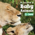 Cover: My First Book of Baby Animals (National Wildlife Federation) - Imagine Publishing, Inc