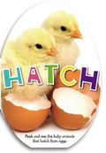 Cover: Hatch - Make Believe Ideas