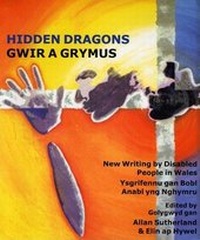 Enlarge image Cover: Hidden Dragons - Parthian Books