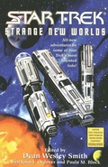 Cover: Star Trek: Strange New Worlds IV - Star Trek