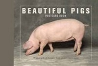 Abbildung von: Beautiful Pigs Postcard Books - Ivy Press