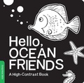 Cover: Hello, Ocean Friends - Duo Press LLC