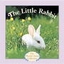 Cover: The Little Rabbit - Random House Books for Young Readers