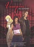 Cover: Vampire Academy - Demco Media Inc