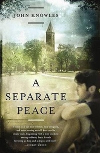 Enlarge image Cover: Separate Peace - Econo-Clad Books, Div. of American Cos., Inc.