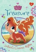 Cover: Treasure - Turtleback Books