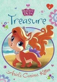 Enlarge image Cover: Treasure - Turtleback Books