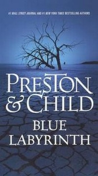 Enlarge image Cover: Blue Labyrinth - Turtleback Books