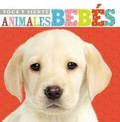 Cover: Toca y siente animales bebes - Grupo Nelson