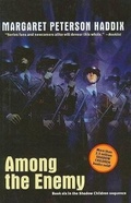 Cover: Among the Enemy - Perfection Learning