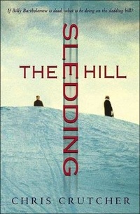 Abbildung von: Sledding Hill - Perfection Learning