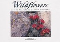 Cover: Wildflowers of the Plateau & Canyon Country - Graphic Arts Books
