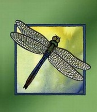 Enlarge image Cover: Dragonfly Blank Journal - Raven Productions