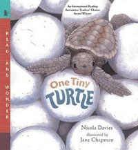Enlarge image Cover: One Tiny Turtle - Turtleback Books