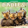 Cover: Cascade: Babies! - Farcountry Press