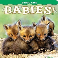 Enlarge image Cover: Cascade: Babies! - Farcountry Press