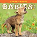 Cover: Grand Canyon Babies! - Farcountry Press