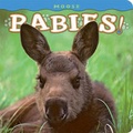 Cover: Moose Babies! - Farcountry Press