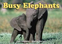 Enlarge image Cover: Busy Elephants - Tricycle Press