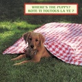 Cover: Where's the Puppy?/Kote Ti Toutous La Ye? - Star Bright Books