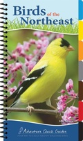 Cover: Birds of the Northeast - Adventure Publications, Incorporated