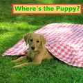 Cover: Where's the Puppy? - Star Bright Books