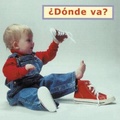 Cover: Donde Va? - Star Bright Books