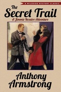 Cover: The Secret Trail (Jimmy Rezaire #2) - Wildside Press