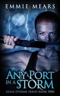 Cover: Any Port in a Storm - Anam-Charaid