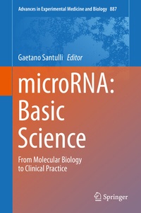 Abbildung von: microRNA: Basic Science - Springer