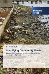 Enlarge image Cover: Identifying Community Needs - Scholars' Press