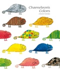 Cover: Chameleon's Colors - North-South Books
