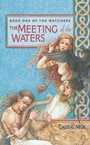 Cover: The Meeting of the Waters - Pocket Books