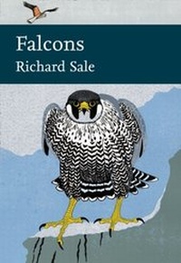 Abbildung von: Falcons - William Collins