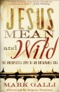 Cover: Jesus Mean and Wild - Baker Books